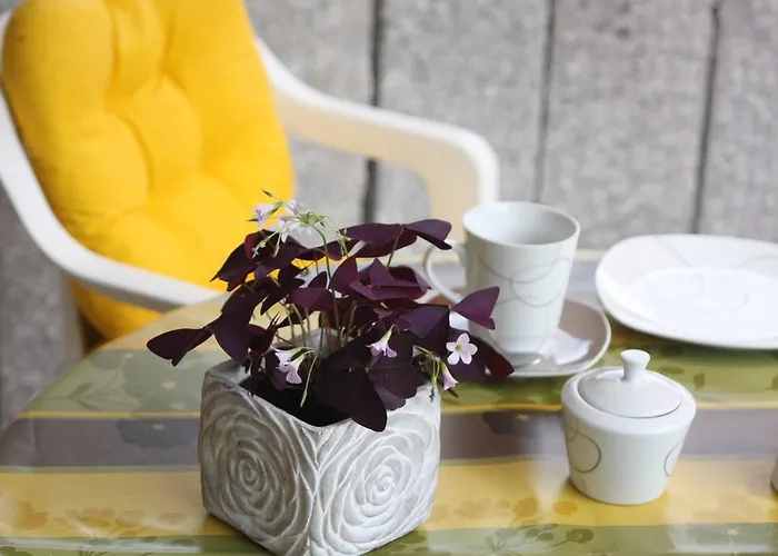 Ferienwohnung-vs 아파트 빌린겐슈베닝겐